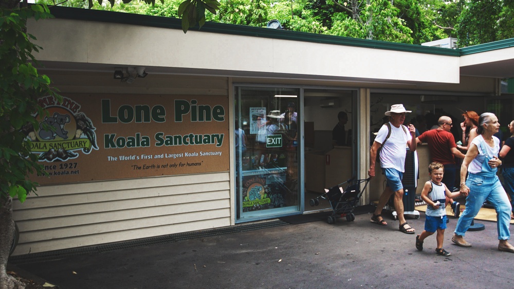 Lone Pine Sanctuary Loket - Atre