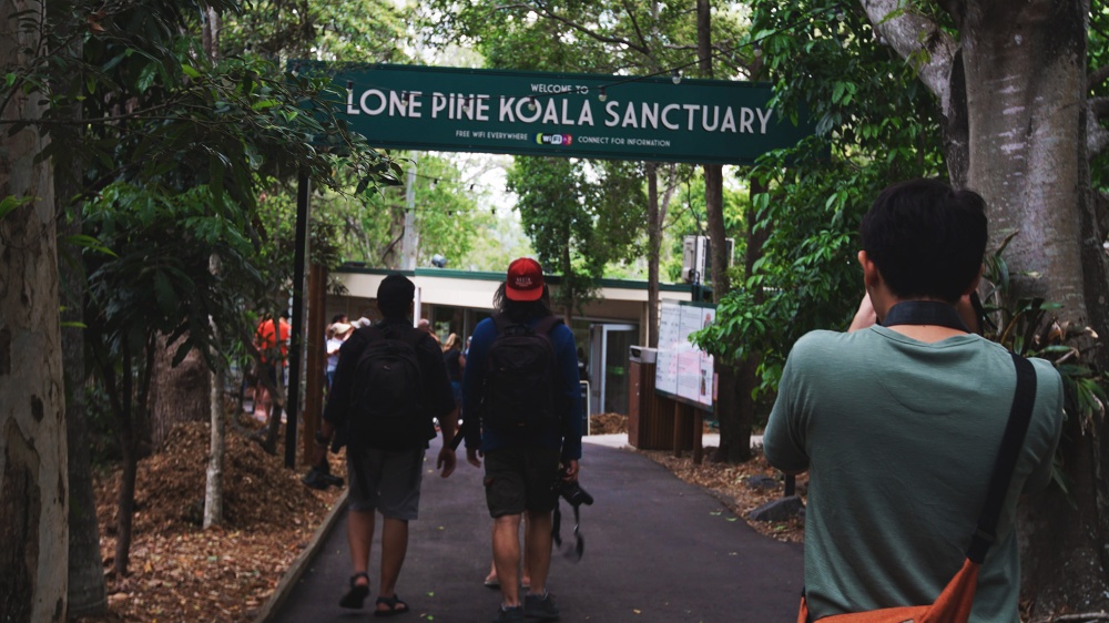 The Gate - Lone Pine Sanctuary - Atre